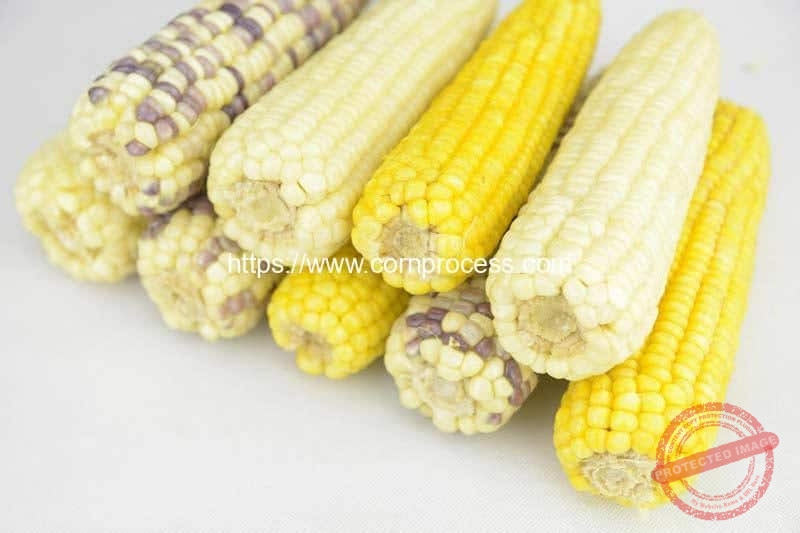 Full-Automatic-Frozen-Sweet-Corn-Cob-Production-Line